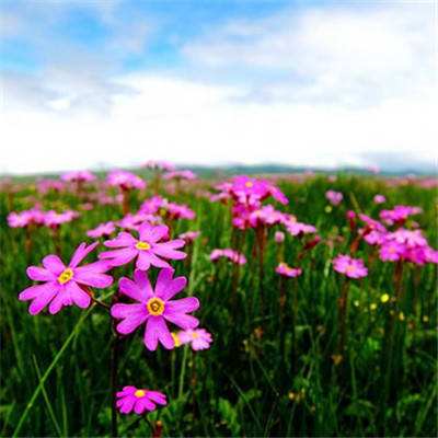 富康彩票旧版本下载安装